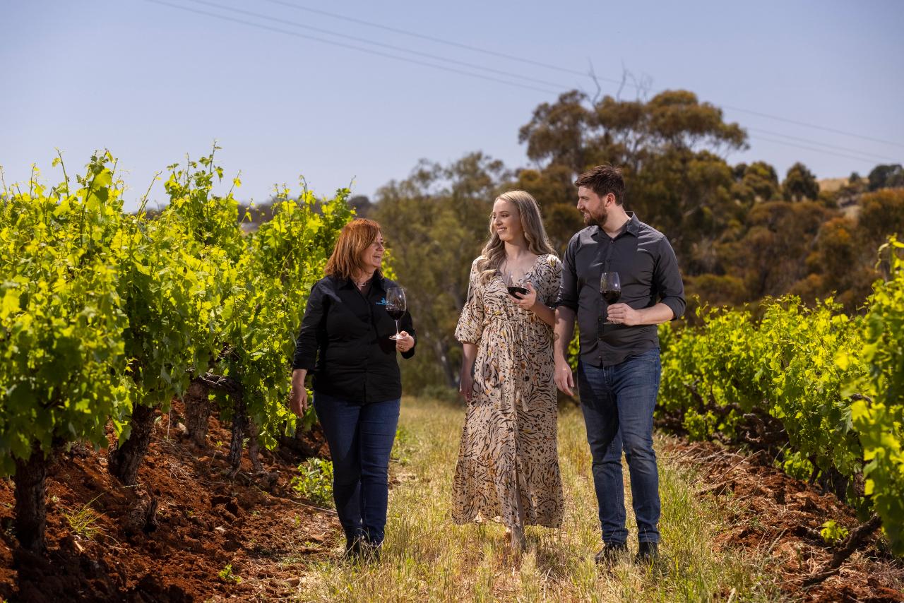 Great Terraced Vineyard Tour