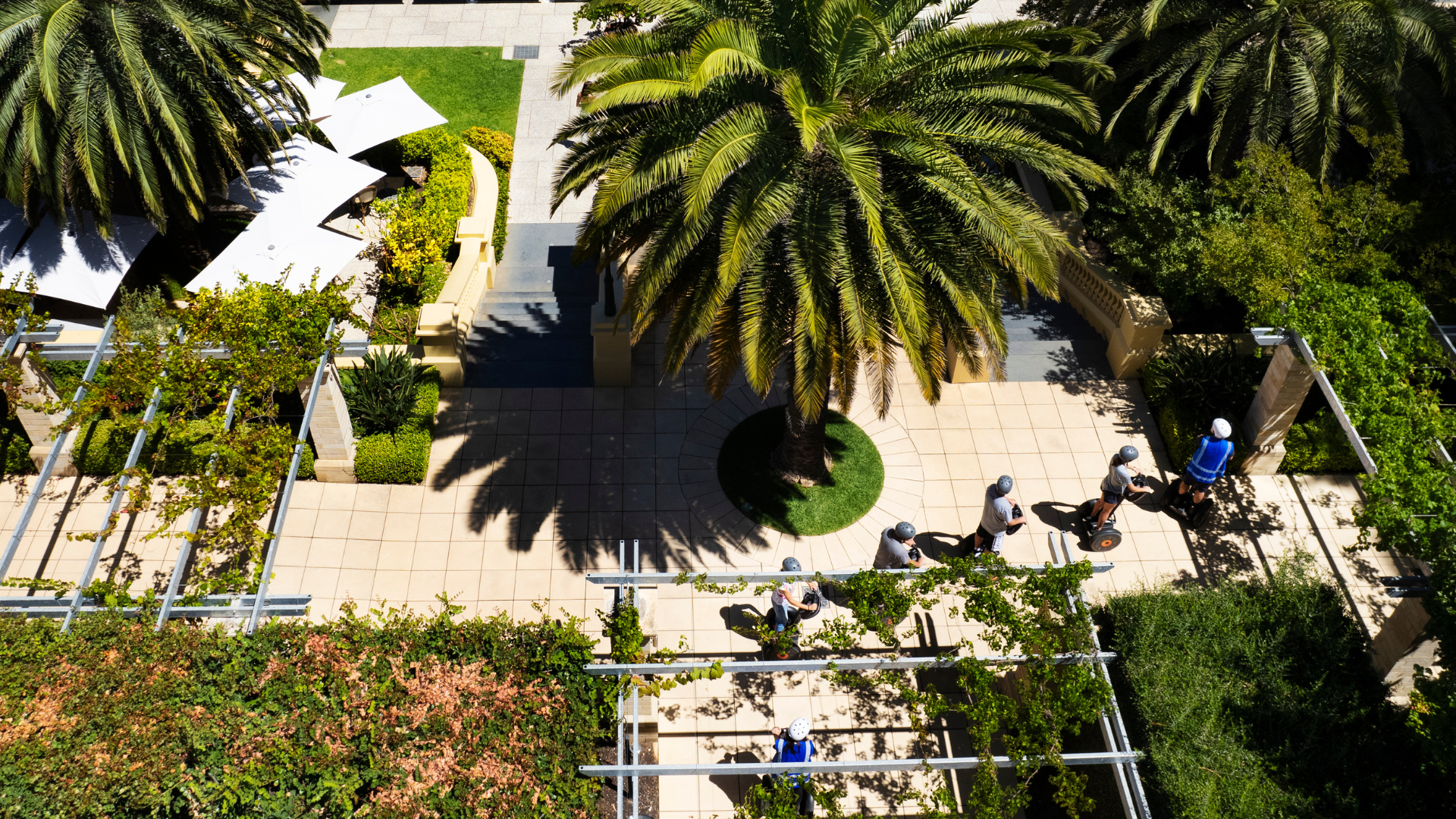 Segway Vineyard Tour