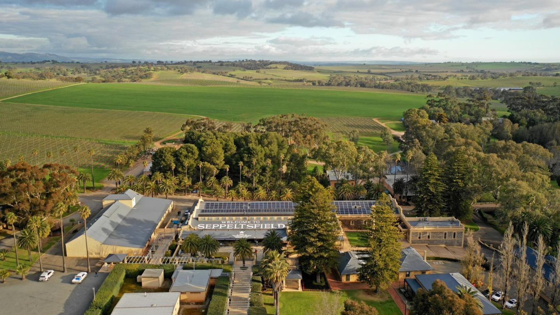 Segway Vineyard Tour