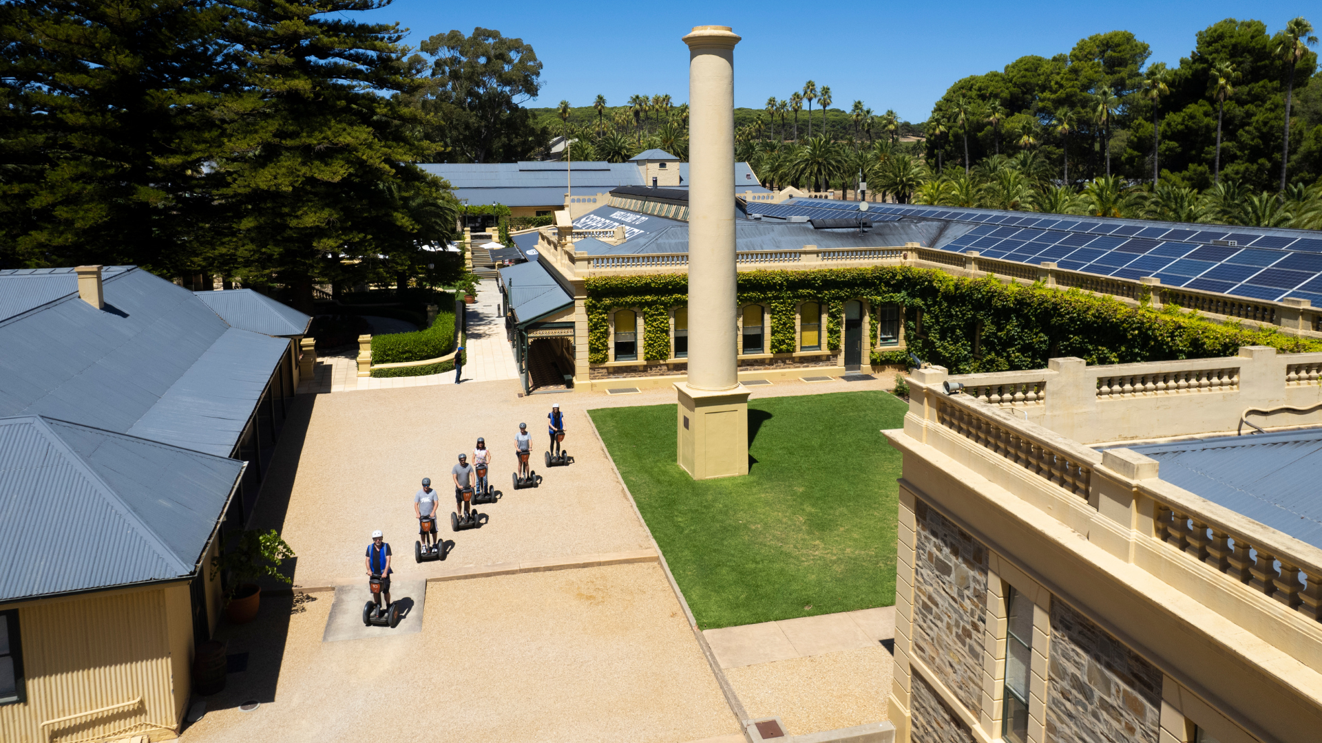 Segway Vineyard Tour