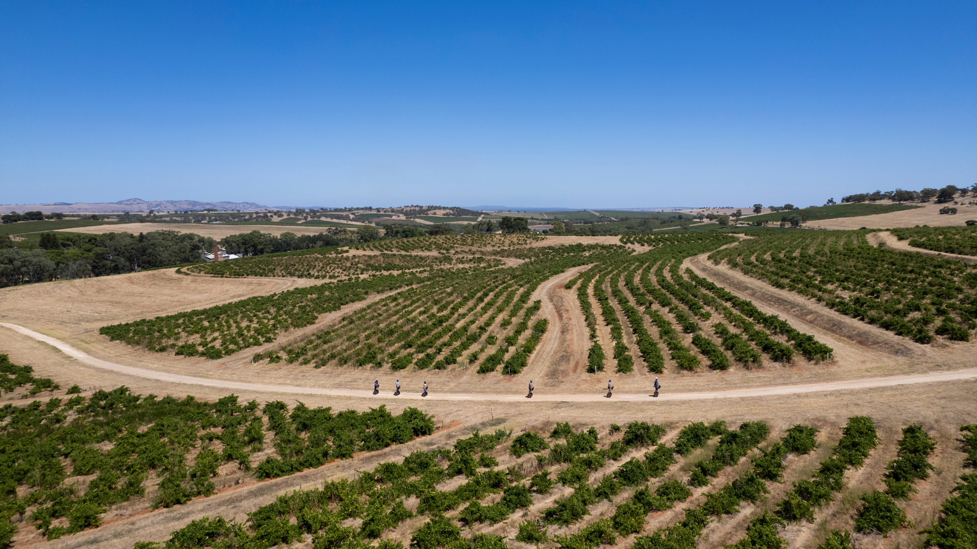 Segway Vineyard Tour