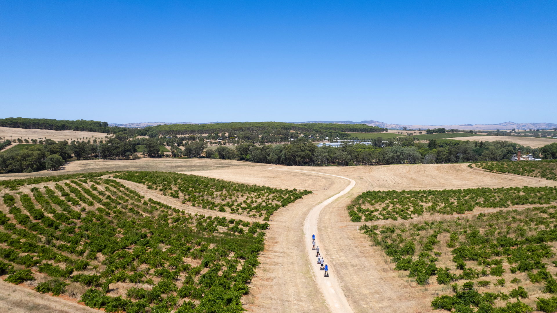 Segway Vineyard Tour