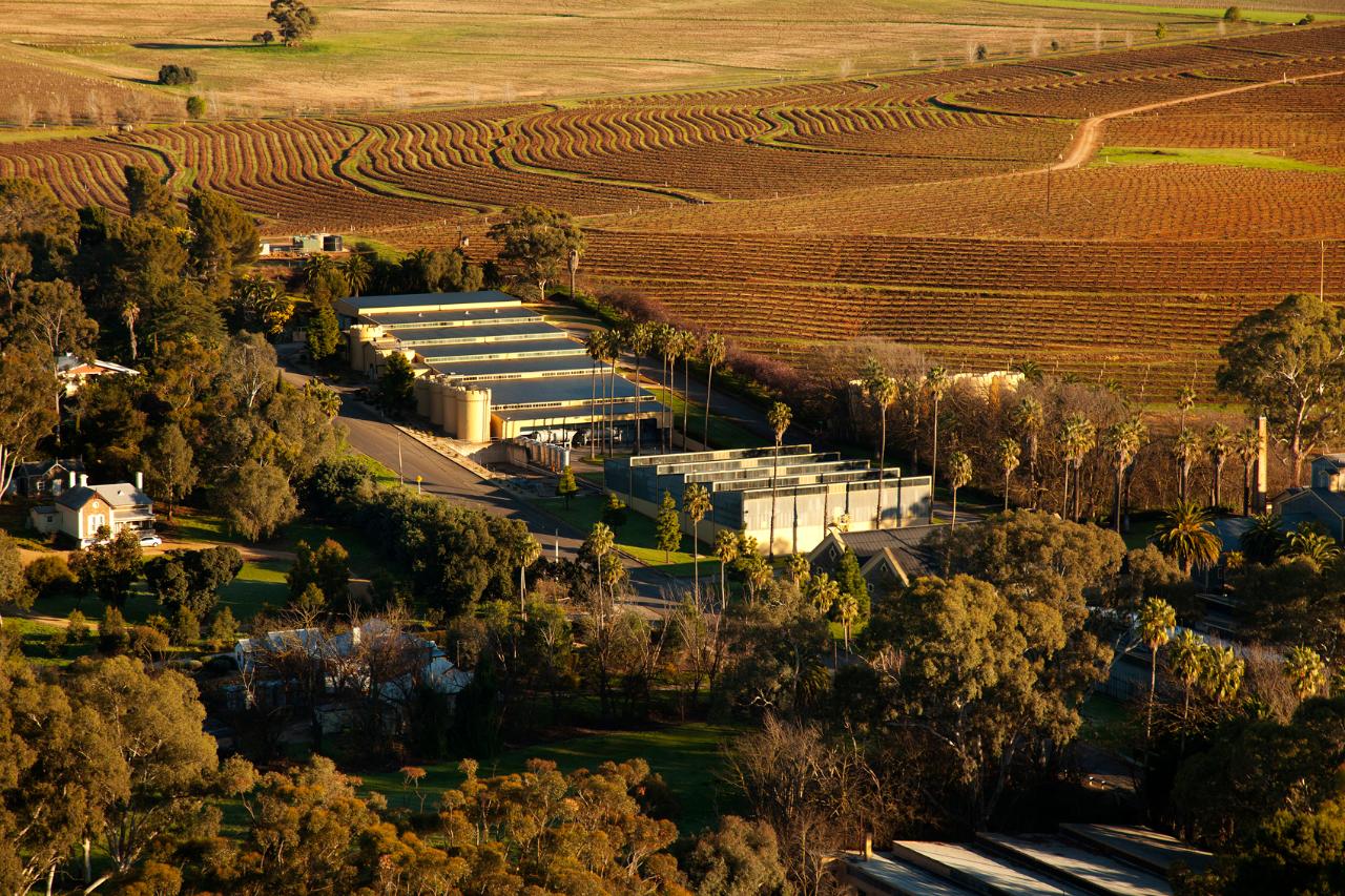Seppeltsfield Wines Pty Ltd: Great Terraced Vineyard Tour — Barossa Valley - Photo 1