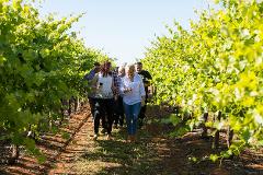 Gourmet Food & Wine Tour 2020