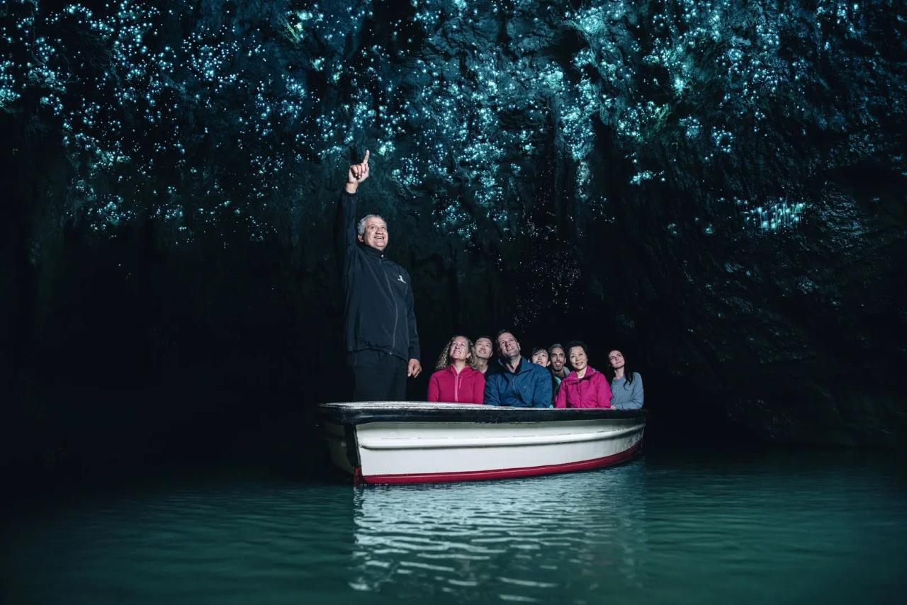 Waitomo Glowworm Caves Tour