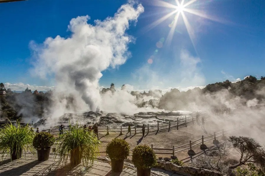 Te Puia Geothermal Valley Rotorua Tour