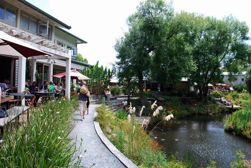 Matakana Wine & Art Village Private Tour