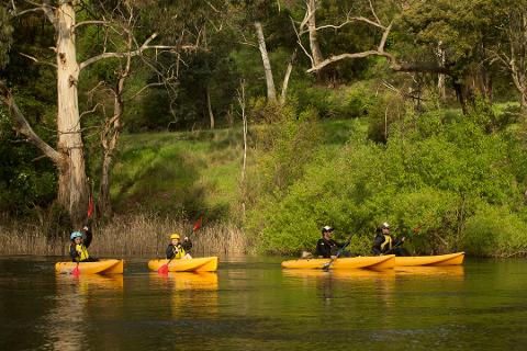 Paddle with the Platypus Adventure Tasmania Australia
