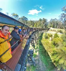 Private Puffing Billy and Dandenong Ranges Tour