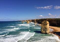 Private Great Ocean Road and Phillip Island Tour on 24x seaters