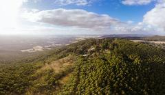 Mt Macedon Private Tour