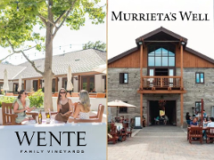 Two Gems of Livermore Tasting Experience - All Inclusive