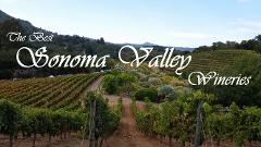 Private Sonoma Valley Wine Tours - All Inclusive 