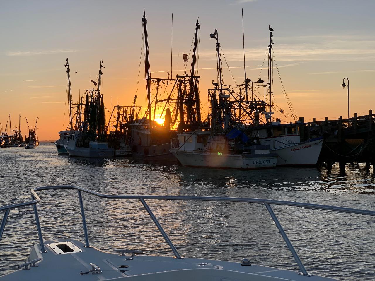 Reel Nauti Private Charter 3hrs Charleston Yacht Tours Reservations