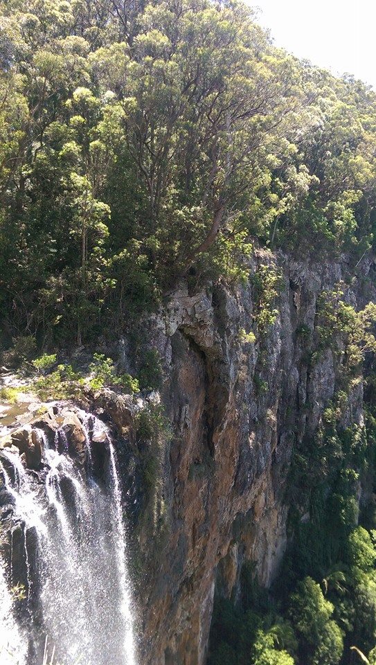 Springbrook National Park 1 day tour