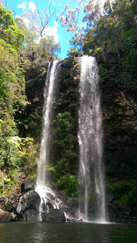 Springbrook National Park 1 day tour