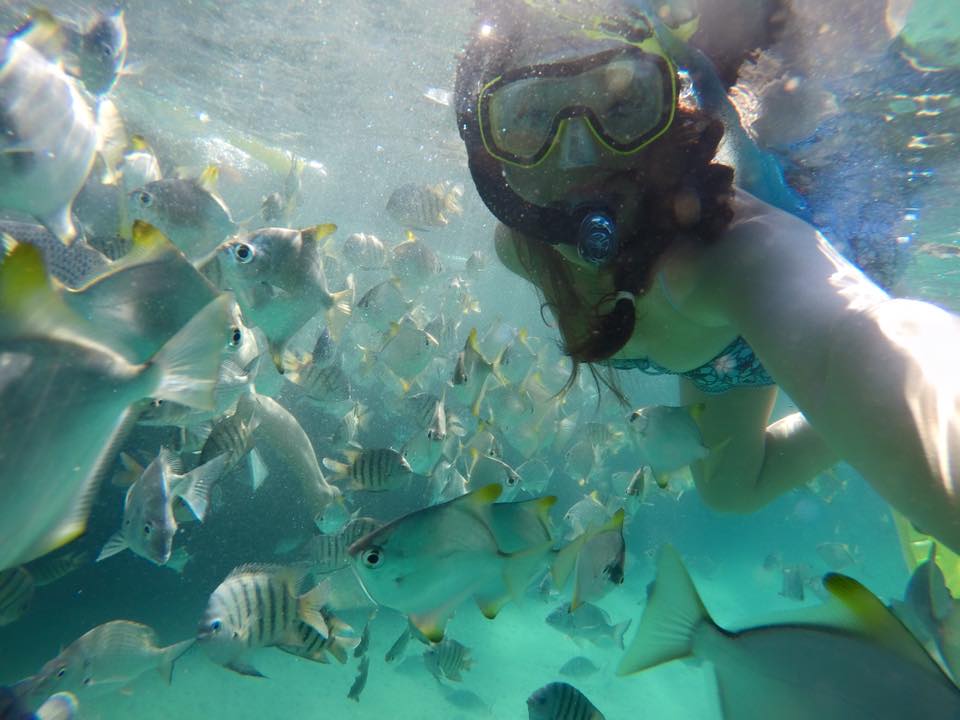 Tangalooma 2 Day Island Wild Dolphin Resort & Eco tour