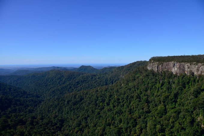 Springbrook National Park 1 day tour