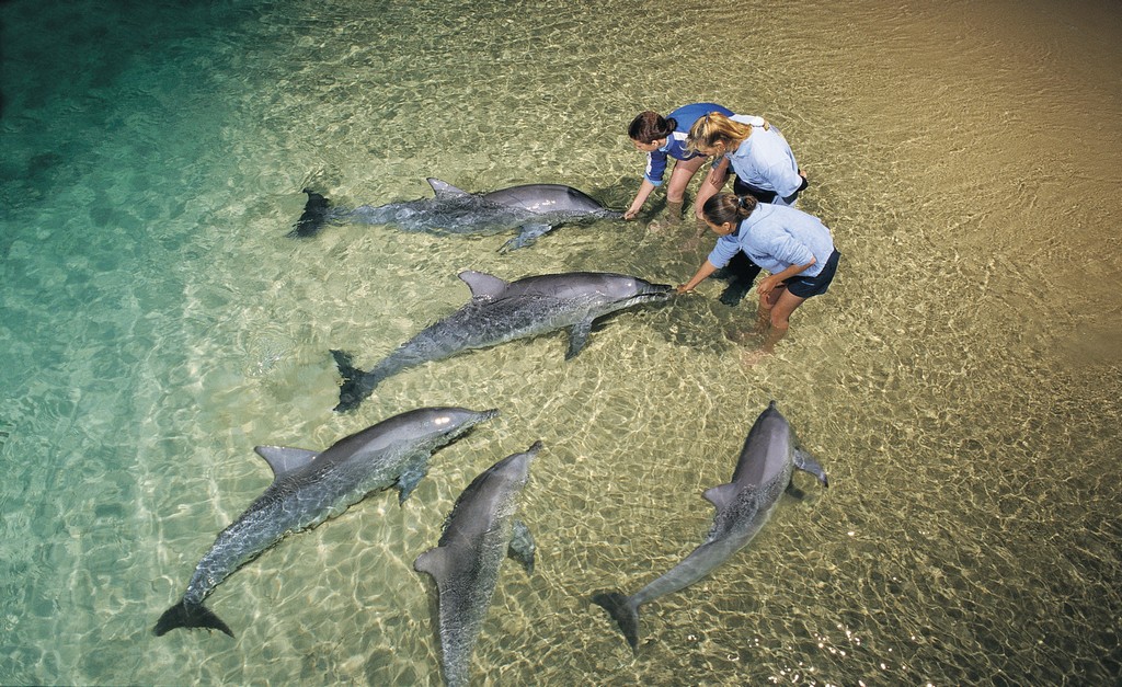 Tangalooma 2 Day Island Wild Dolphin Resort & Eco tour