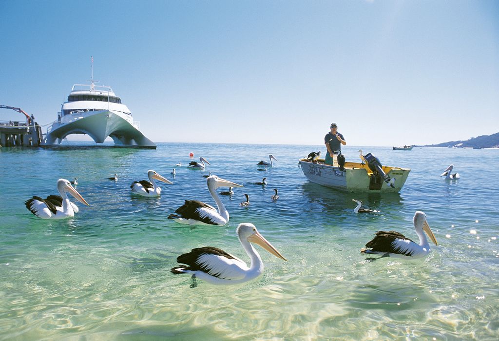 Tangalooma 2 Day Island Wild Dolphin Resort & Eco tour