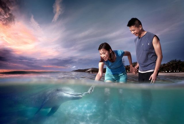 Tangalooma 2 Day Island Wild Dolphin Resort & Adventure tour