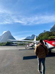 Milford Sound Fly Backs 