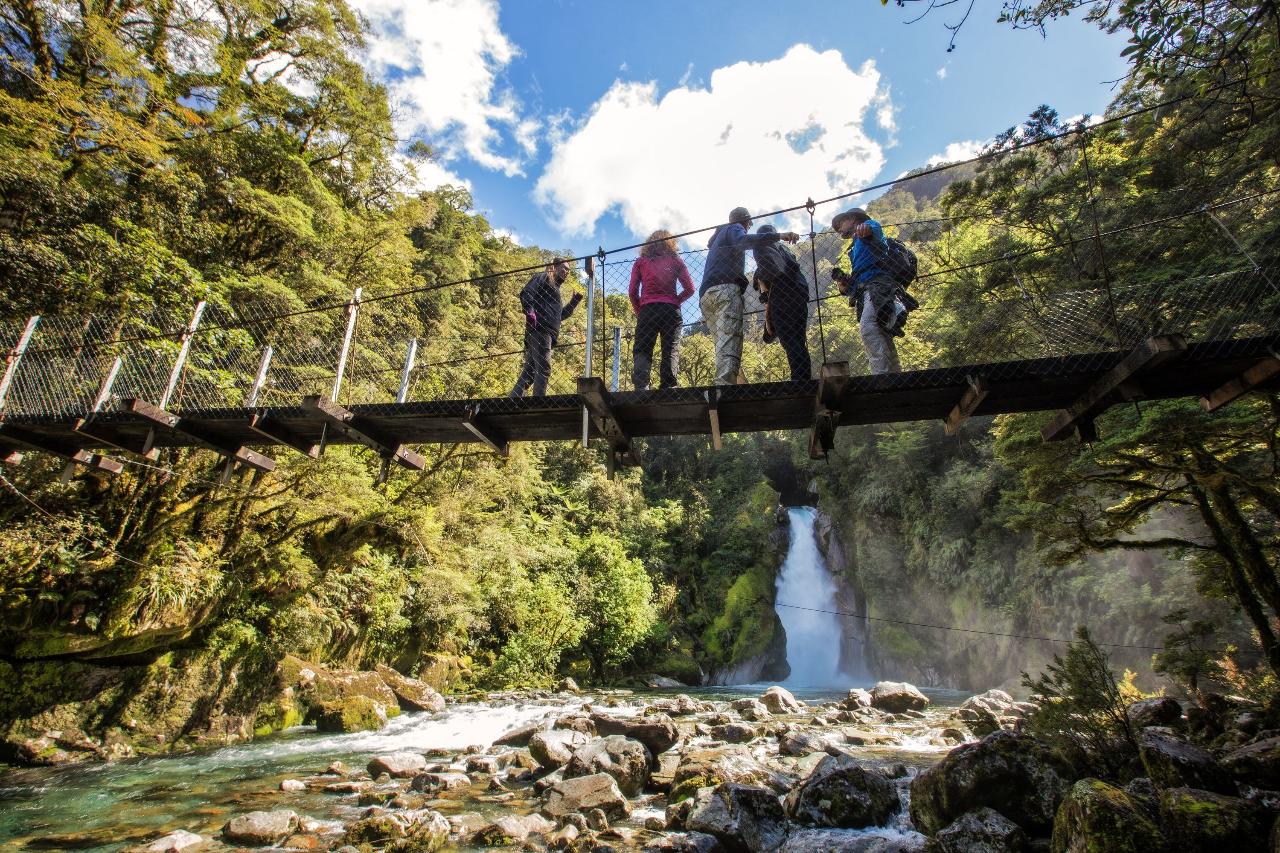 Group Milford Track Guided Walk from Milford Sound