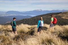 Fiordland Great Walk Package with 4 nights LAKEVIEW hotel room