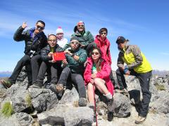 Group Guided Walk - Fiordland