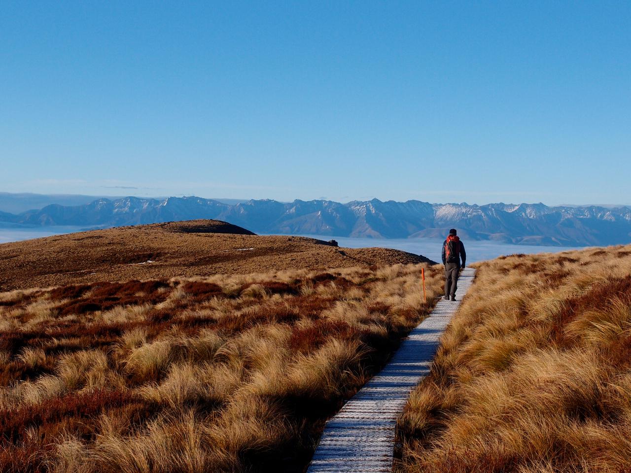 Kepler Track Luxmore Guided Day Heli Hike from Te Anau