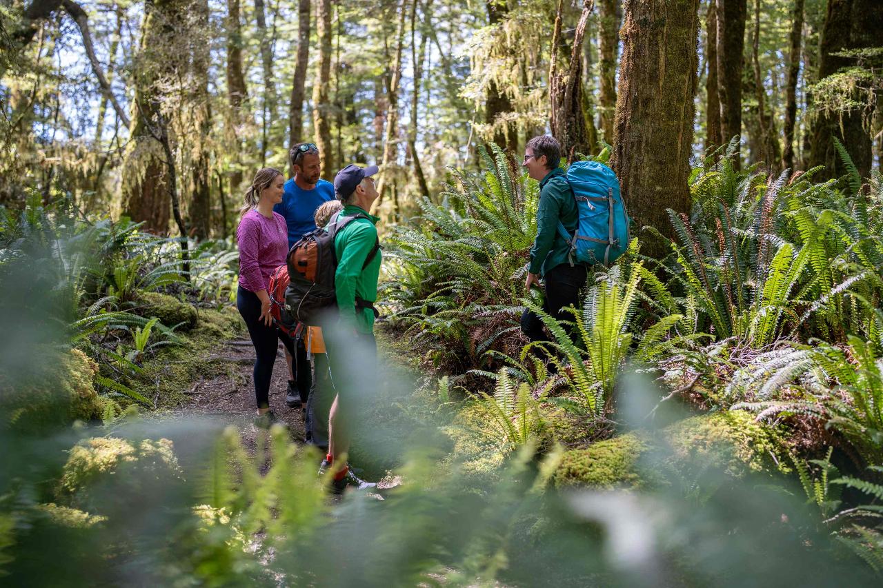 Fiordland Great Walk Package - with Kepler Jetboat Option