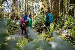 Fiordland Great Walk Package - with Kepler Jetboat Option