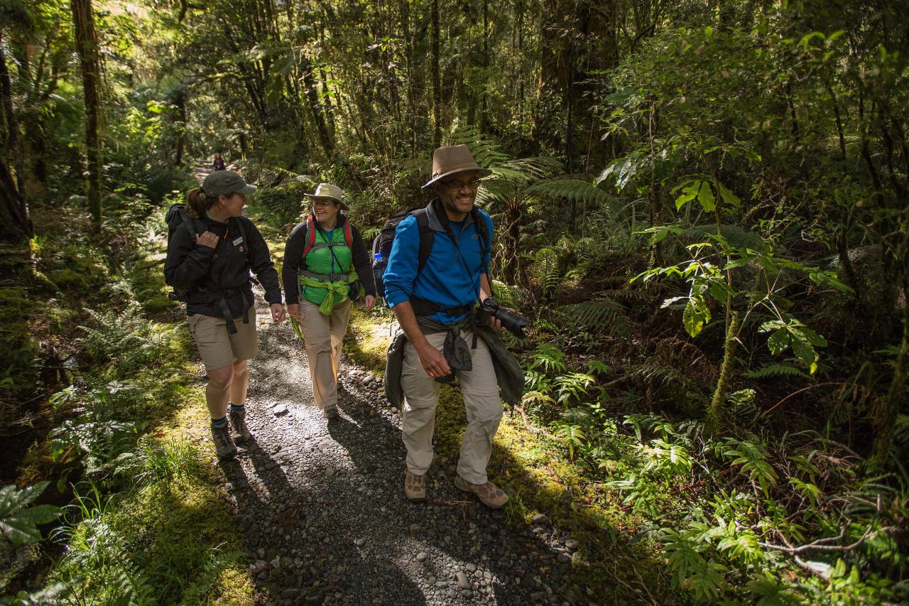 Private Milford Track Guided Walk 