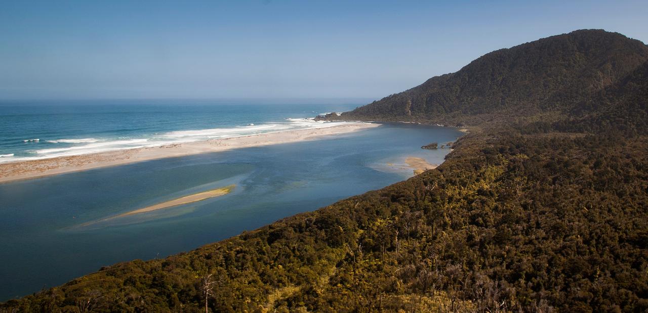 Hollyford and Martins Bay Encounter 