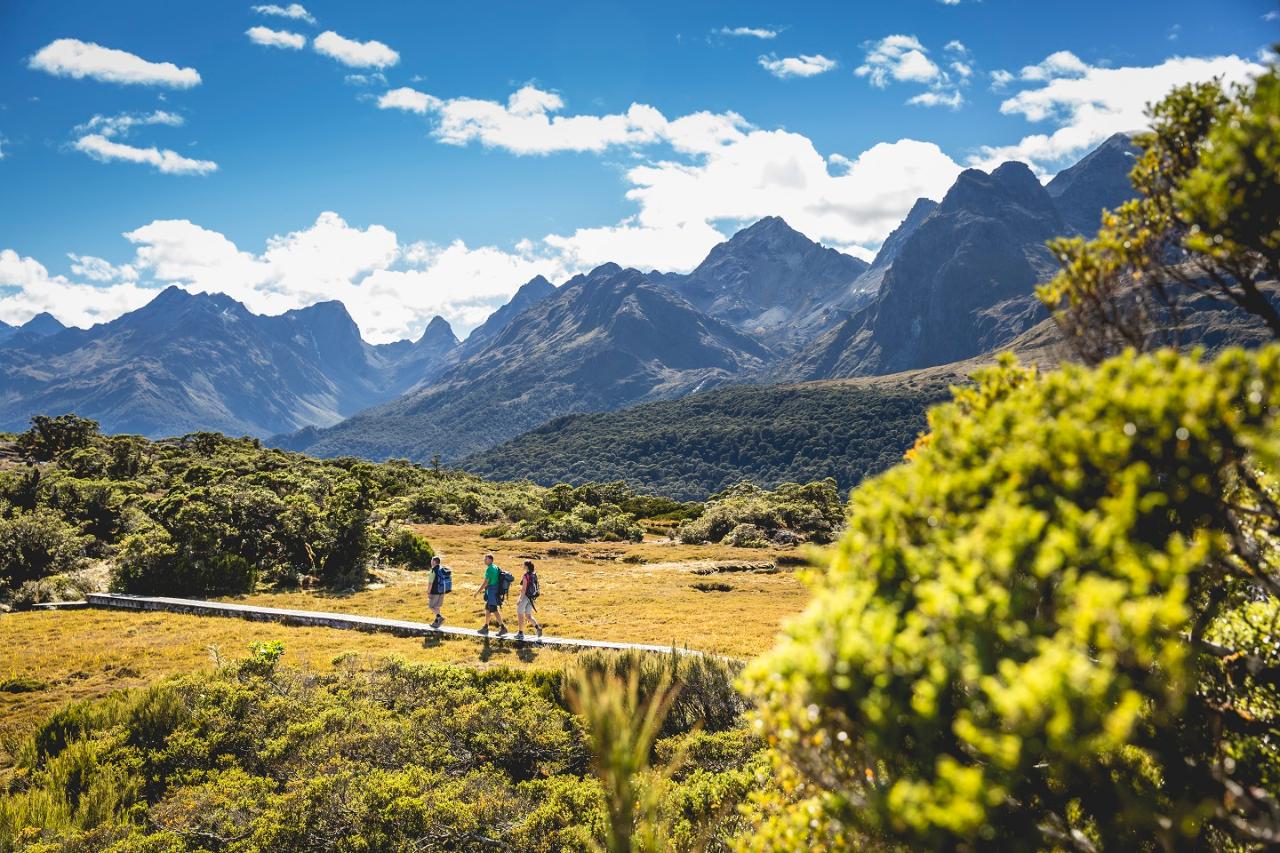 Private Fiordland Great Walk Package - 3 hikes, 3 days