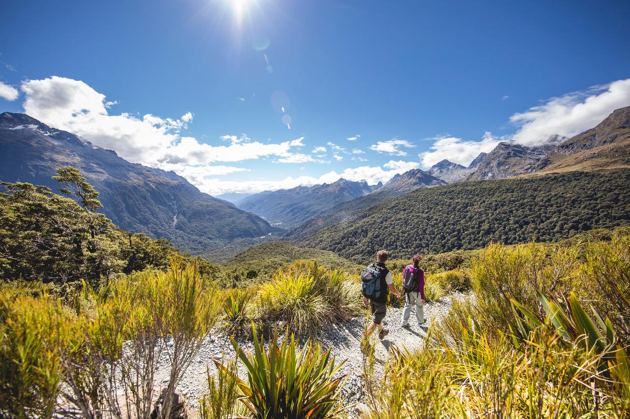 Milford Sound to Summit Experience from Te Anau
