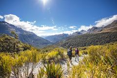 Milford Sound to Summit Experience from Te Anau