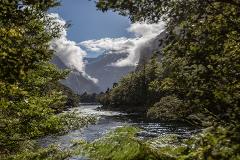 Private Milford Track Guided Walk 