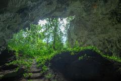Private Tiger Cave Series Adventure 3-Day tour