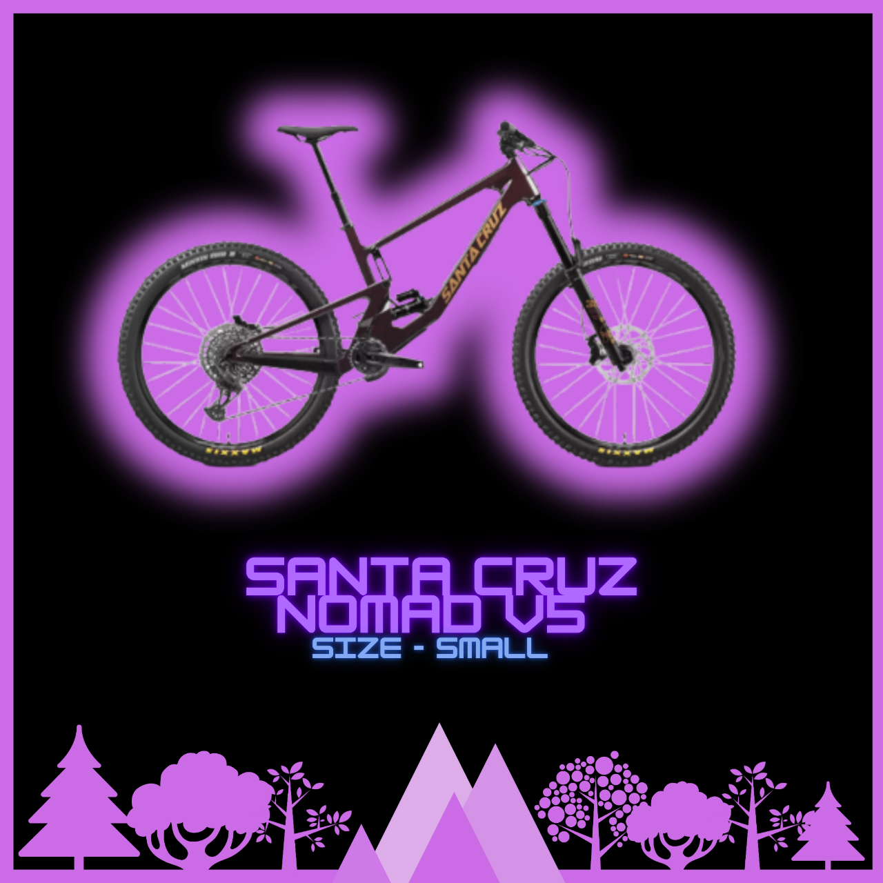 Santa Cruz Nomad V5 Size Small Full Day