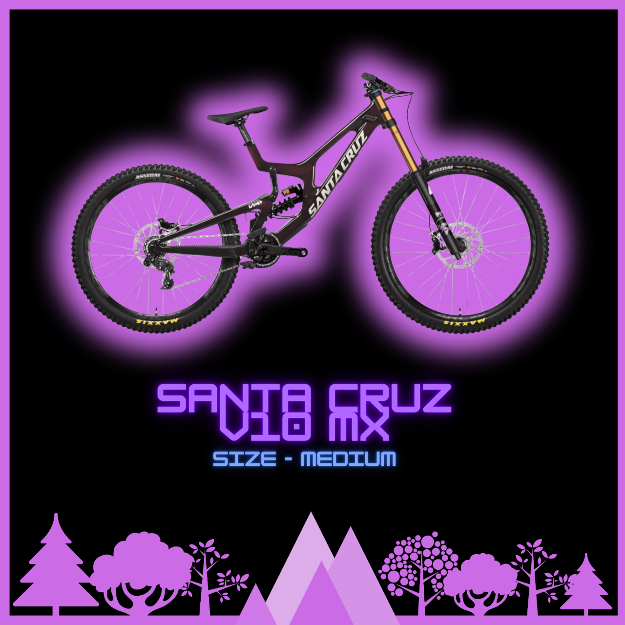 Santa Cruz V10 C MX DH Bike Size Medium Half Day 