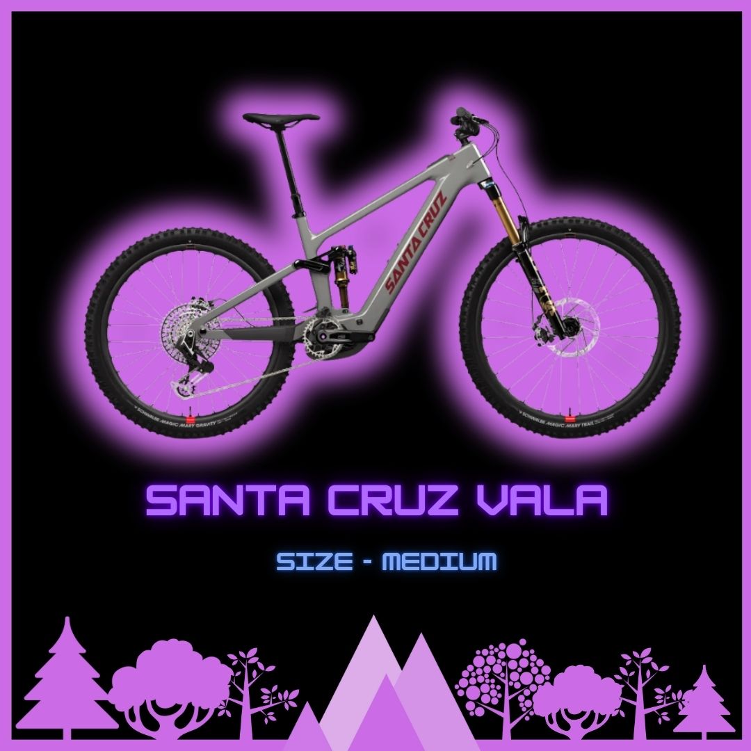 Santa Cruz Vala Size Medium Half Day 