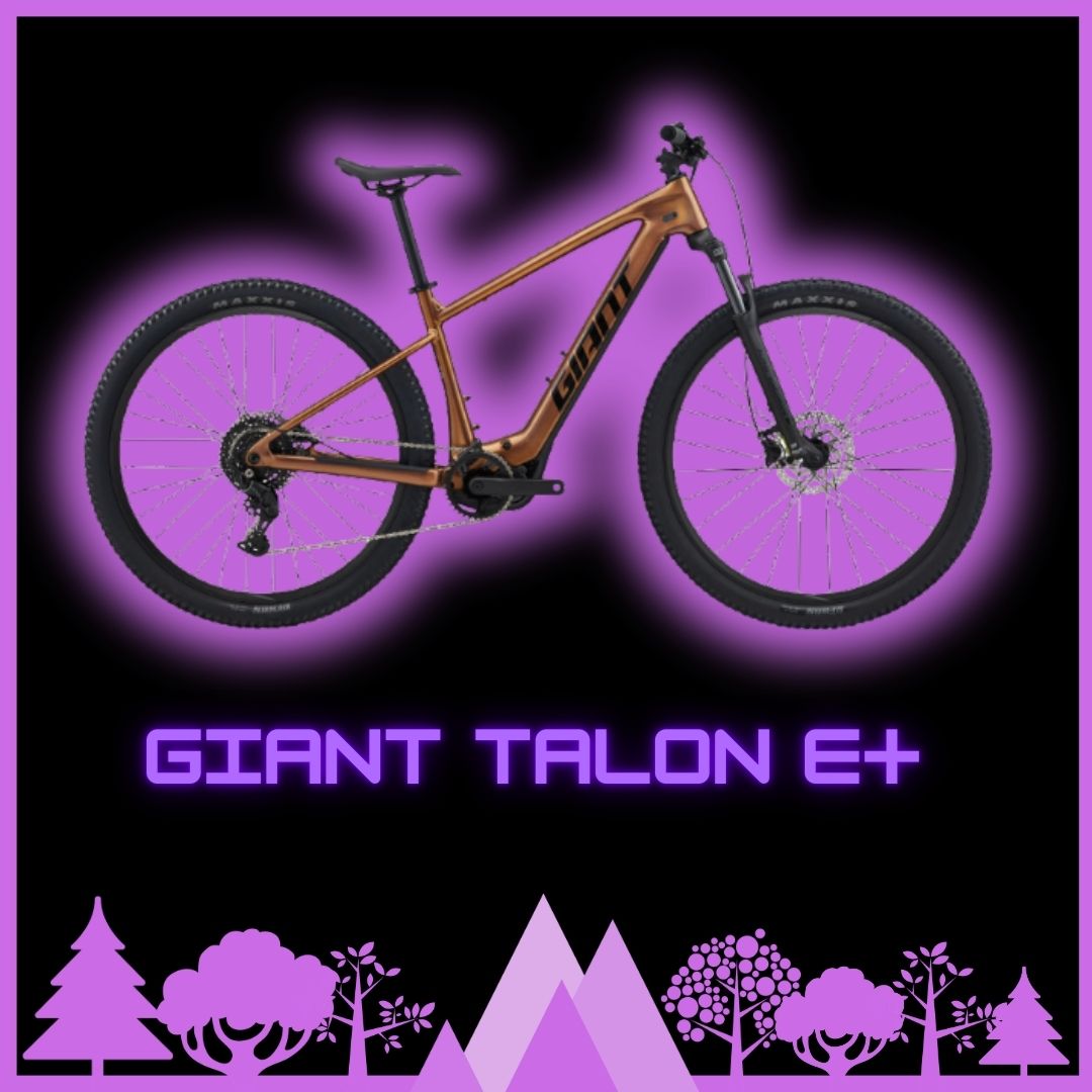 E-Bike Recreational Half Day - Size Medium