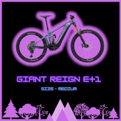 Enduro Full Suspension E-Bike - Medium - Half Day