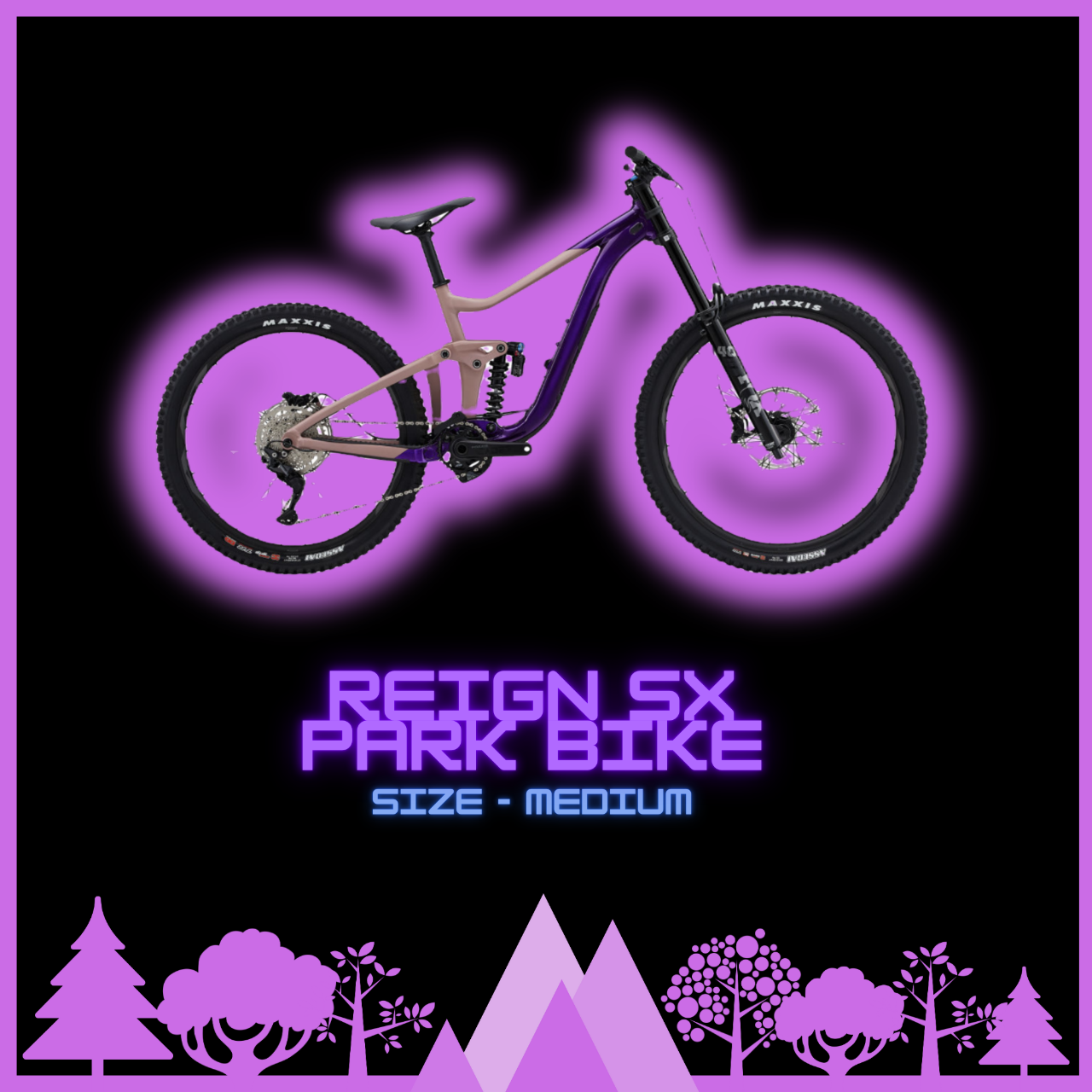 Reign SX Park Bike - Size Medium - Half Day