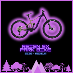 Reign SX Park Bike - Size Medium - Half Day