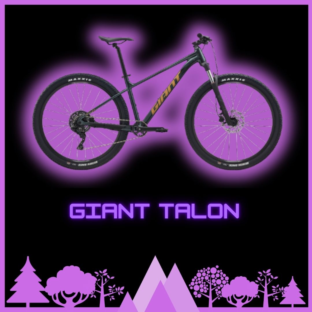 Recreational Front Suspension Full Day Child