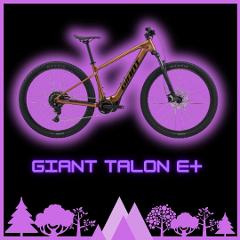 E-Bike Recreational Half Day - Size Small