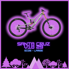 Santa Cruz V10 C 29 DH Bike Size Large Half Day 