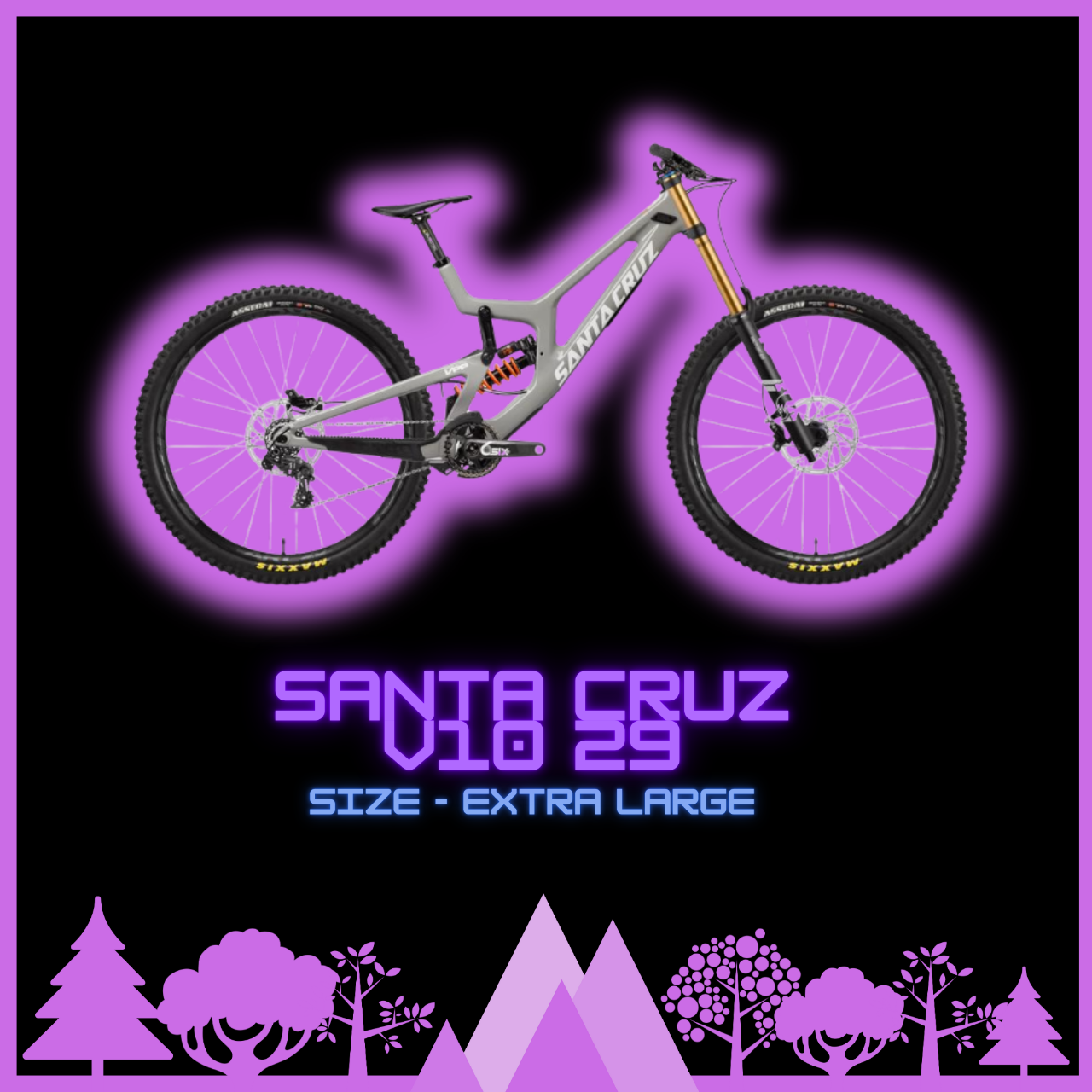 Santa Cruz V10 C 29 DH Bike Size XL Full Day 